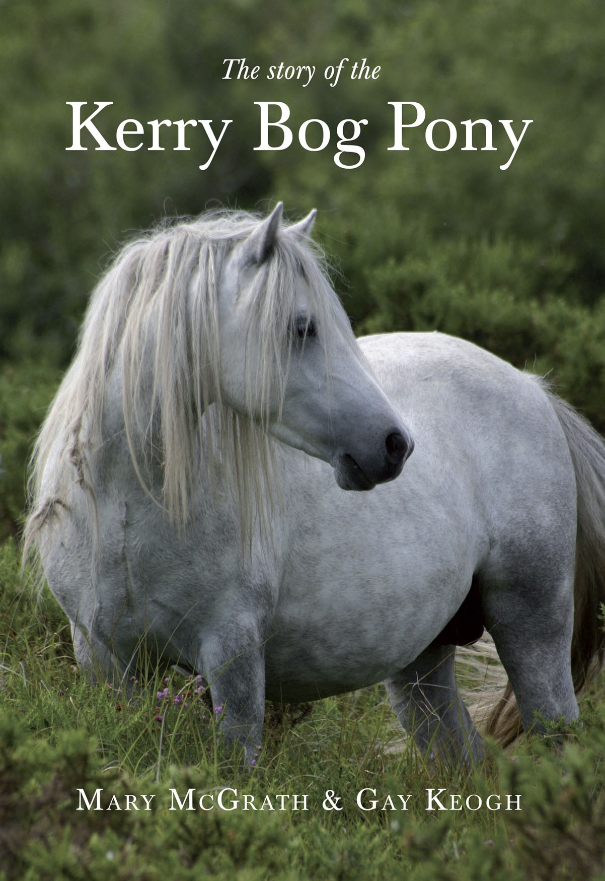 storyo pony